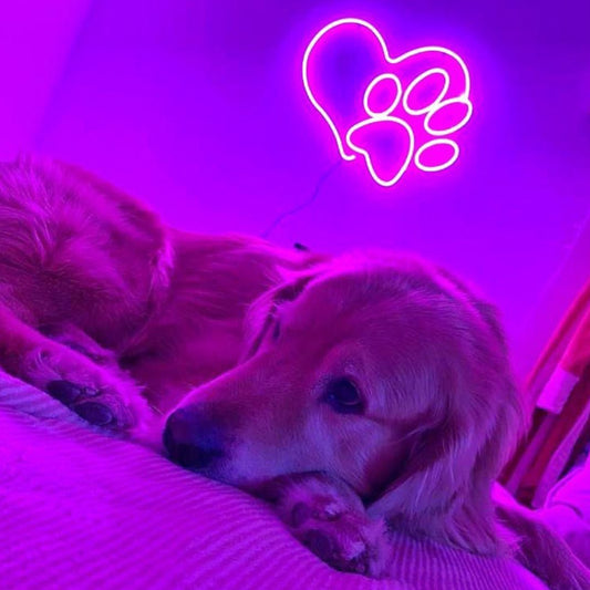 Dog Heart and Paw Neon Sign